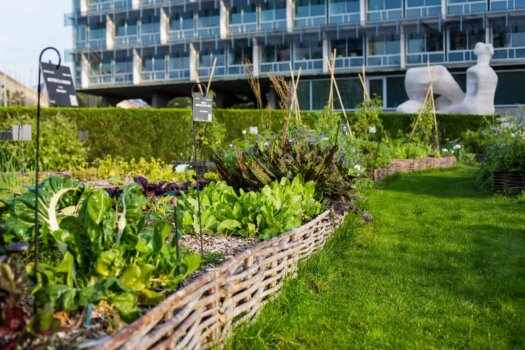 Jardin de l'UNESCO